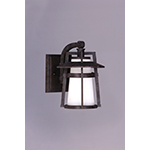 Calistoga 1-Light Outdoor Wall Lantern
