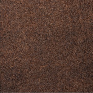 PT