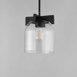 Scoop 1-Light Pendant/Flush Mount