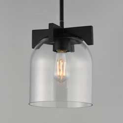 Scoop 1-Light Pendant/Flush Mount