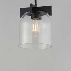 Scoop 1-Light Pendant/Flush Mount